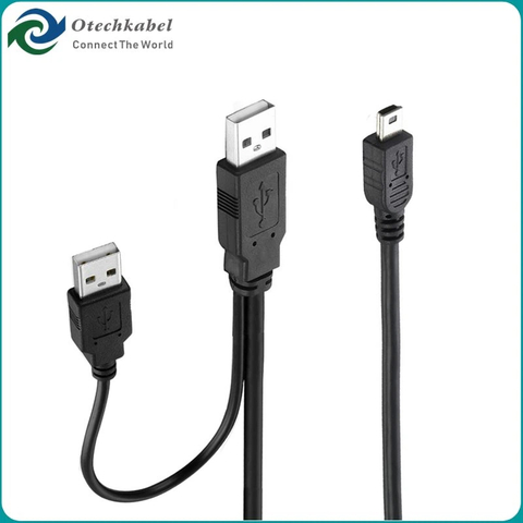 Dual Mini USB Cable