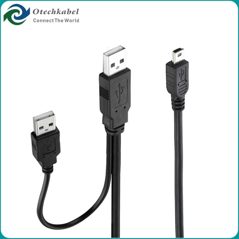Dual Mini USB Cable