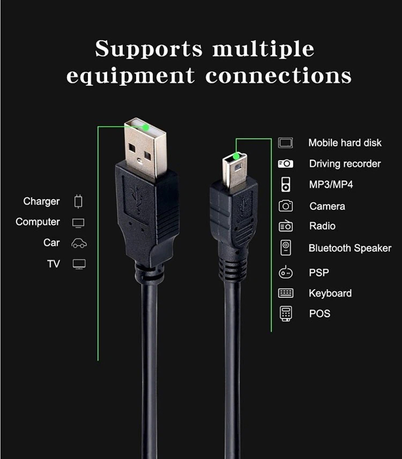 Dual Mini USB Cable (4)
