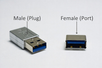 //iprorwxhkmimln5p.ldycdn.com/cloud/pqBpnKjrliSRqlijqjmqkq/USB-Male-And-Female-Close-Up.jpg